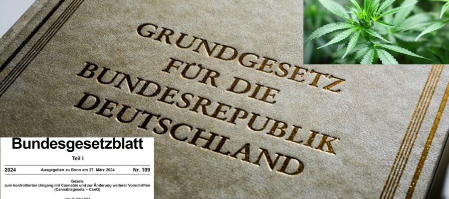 Das Bild zeigt zentral und groß das Coverblatt "Grundgesetz für die Bundesrepublik Deutschland" und kleiner einen Screenshot der Bundesgesetzblatts mit der Veröffentlichung des Cannabisgesetz sowie oben rechts in der Ecke eine Cannabispflanze.